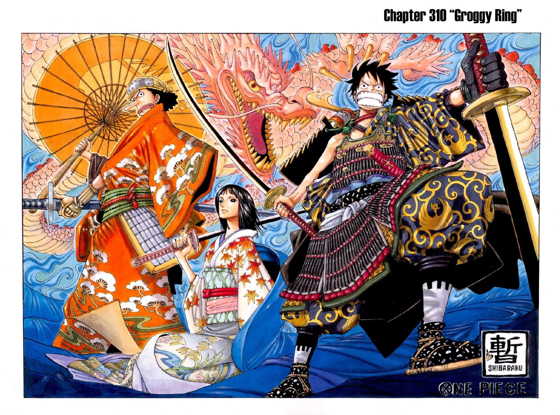 One Piece, Chapter 310 image 01